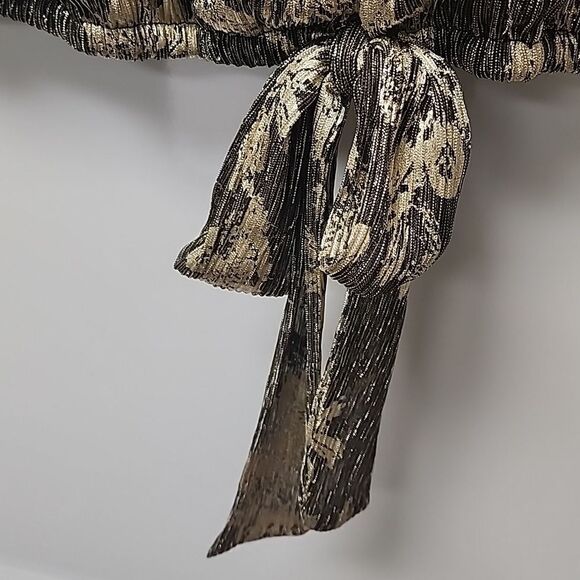 Metallic Gold Top with Puffed Sleeves and Tie Chiffon - Picture 3 of 9